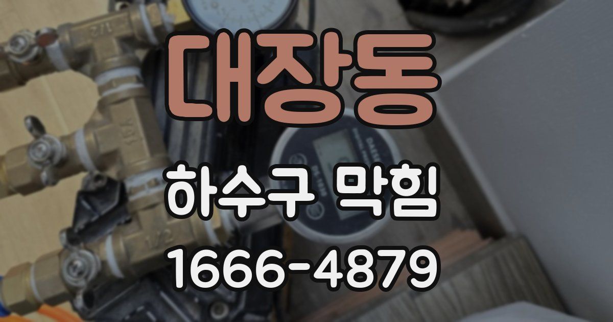 대장동 하수구 막힘