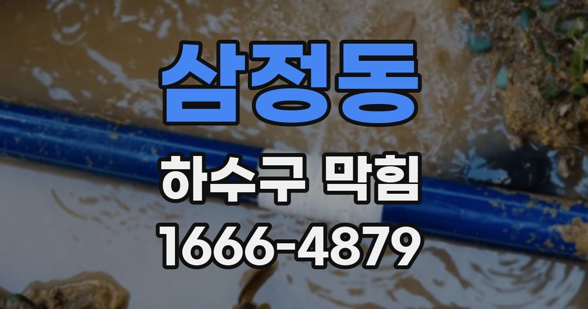 삼정동 하수구 막힘