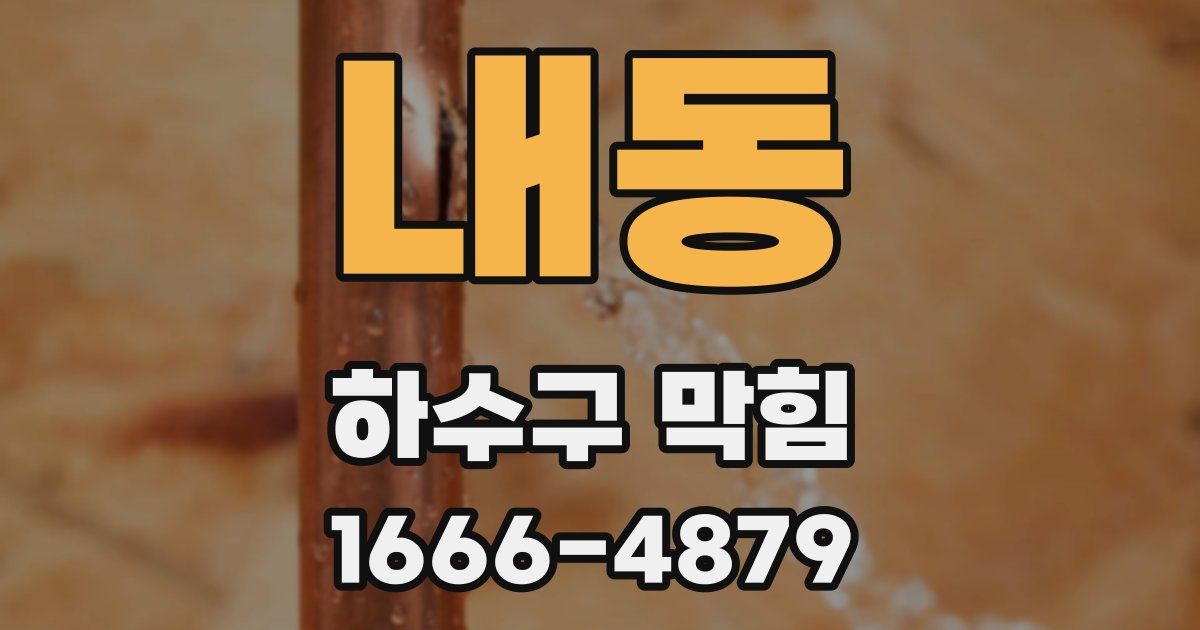 내동 하수구 막힘