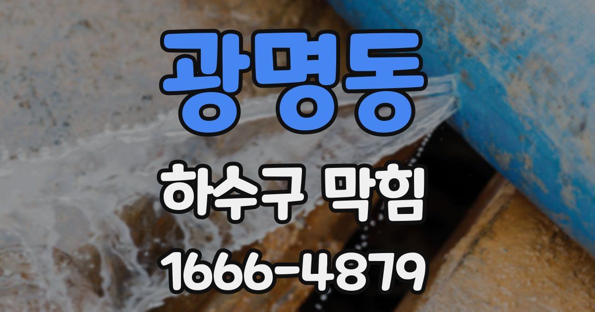광명동 하수구 막힘