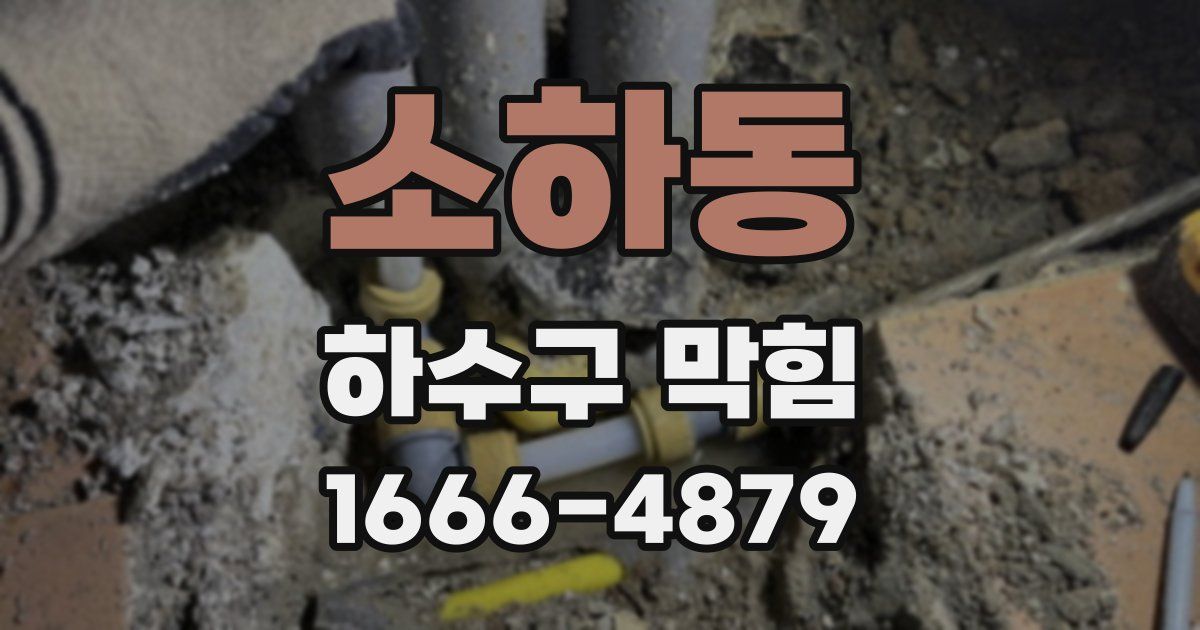 소하동 하수구 막힘