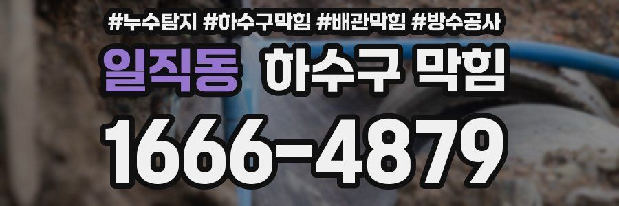 일직동 하수구 막힘