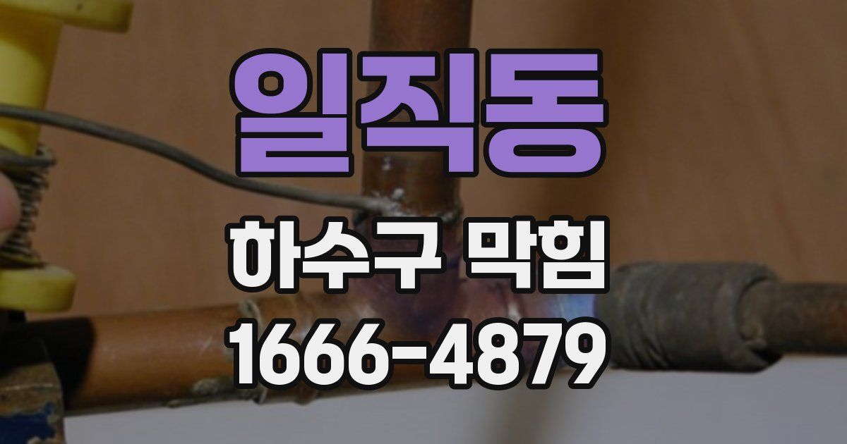 일직동 하수구 막힘