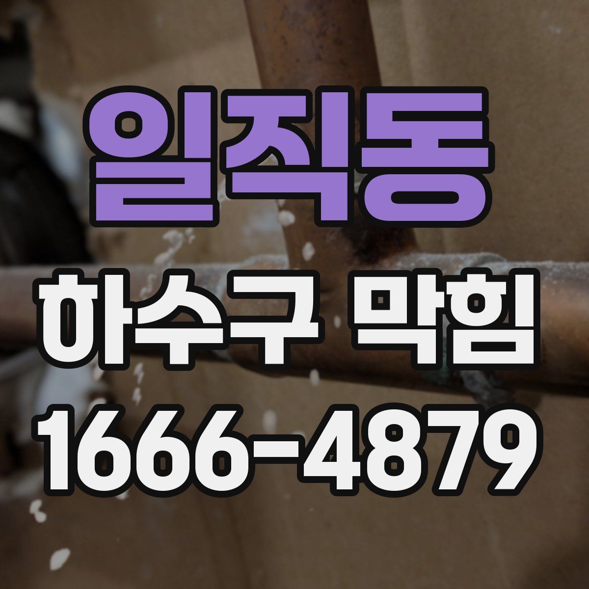 일직동 하수구 막힘