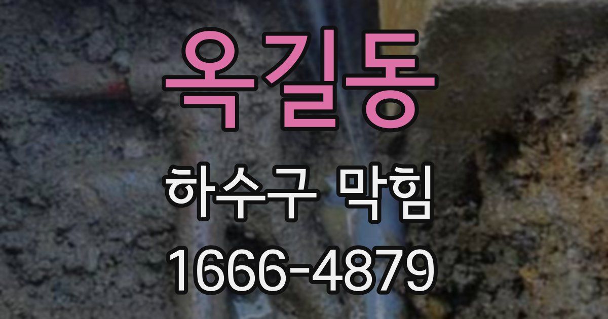 옥길동 하수구 막힘