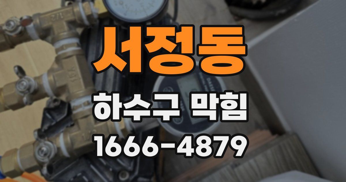 서정동 하수구 막힘