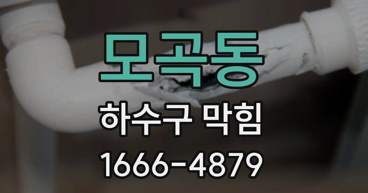 모곡동 하수구 막힘