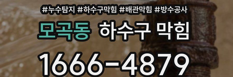 모곡동 하수구 막힘