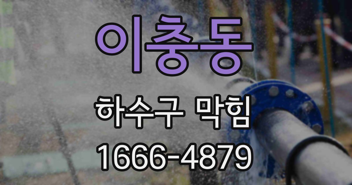 이충동 하수구 막힘