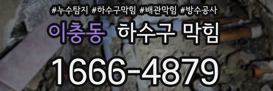 이충동 하수구 막힘