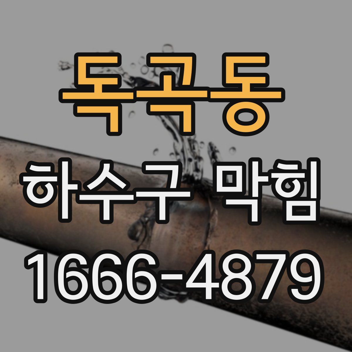 독곡동 하수구 막힘