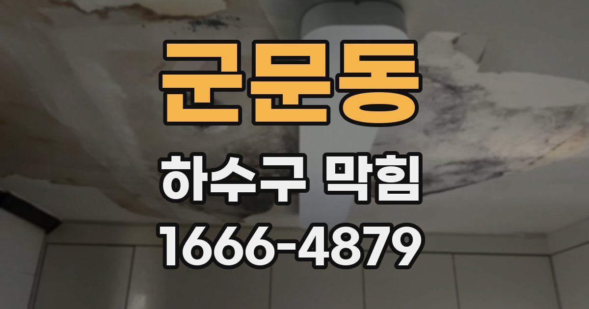 군문동 하수구 막힘