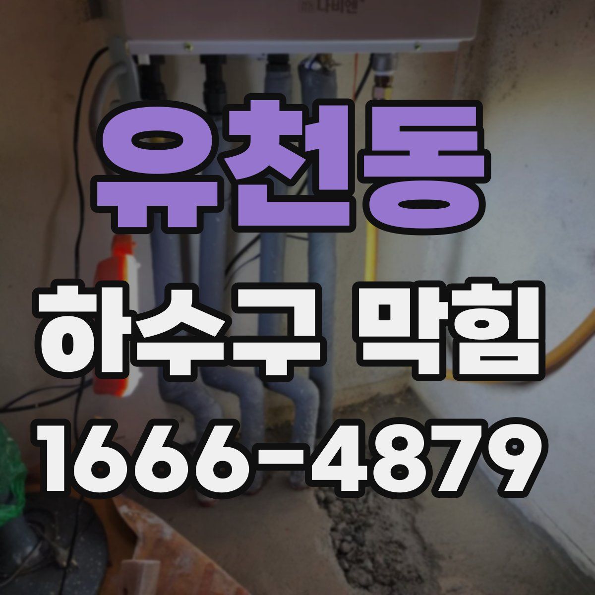 유천동 하수구 막힘
