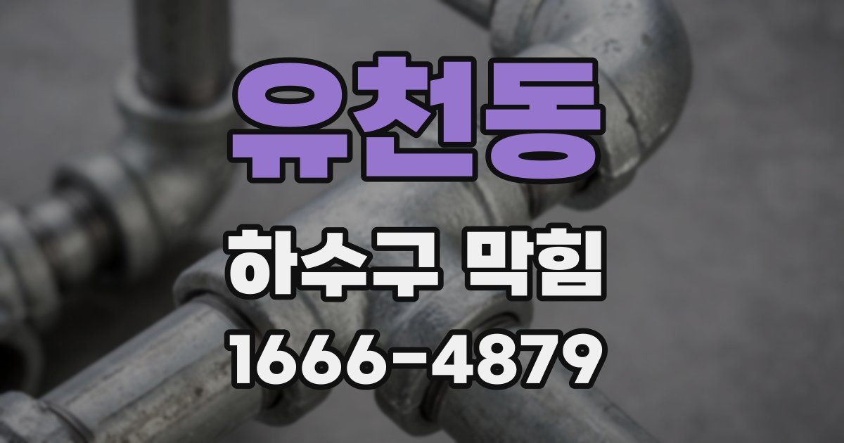 유천동 하수구 막힘