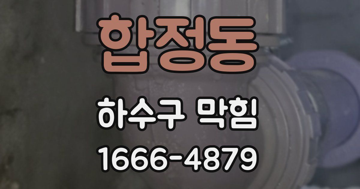 합정동 하수구 막힘