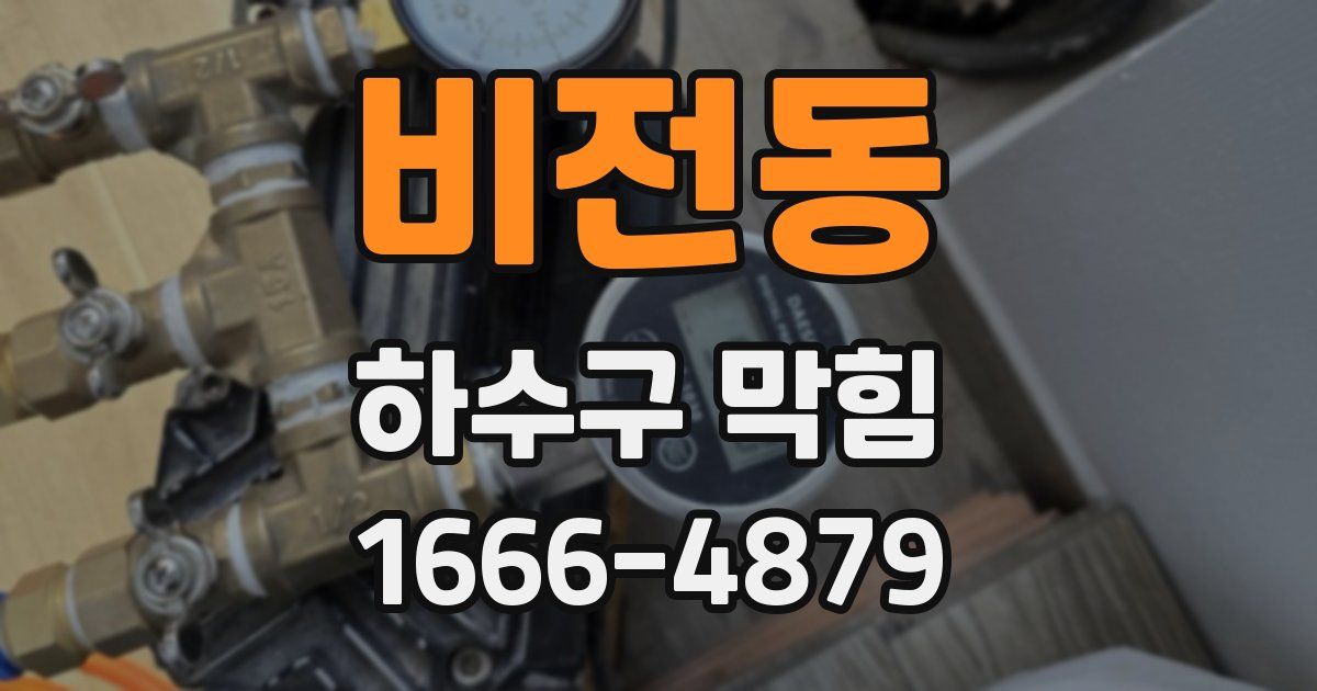 비전동 하수구 막힘