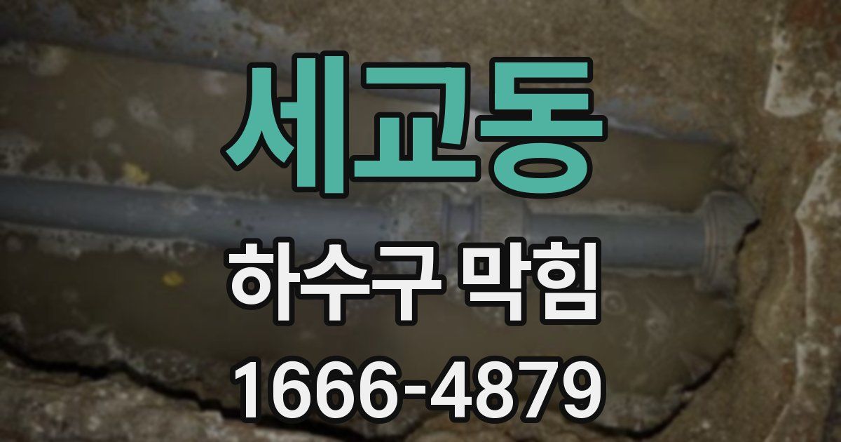 세교동 하수구 막힘