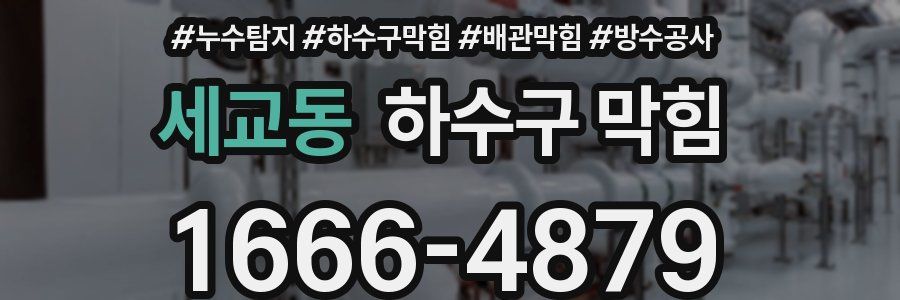 세교동 하수구 막힘