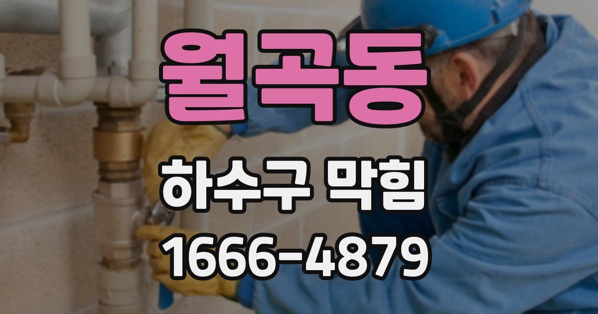 월곡동 하수구 막힘