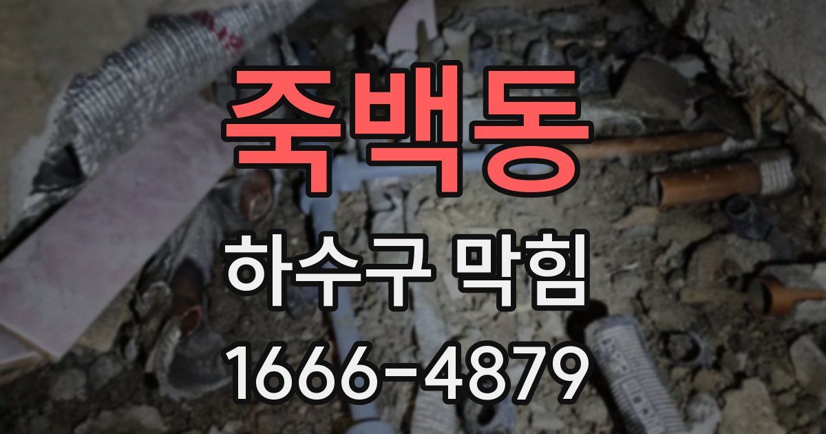 죽백동 하수구 막힘
