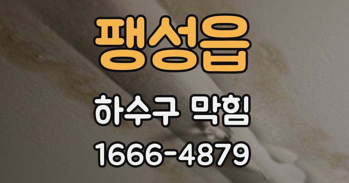 팽성읍 하수구 막힘