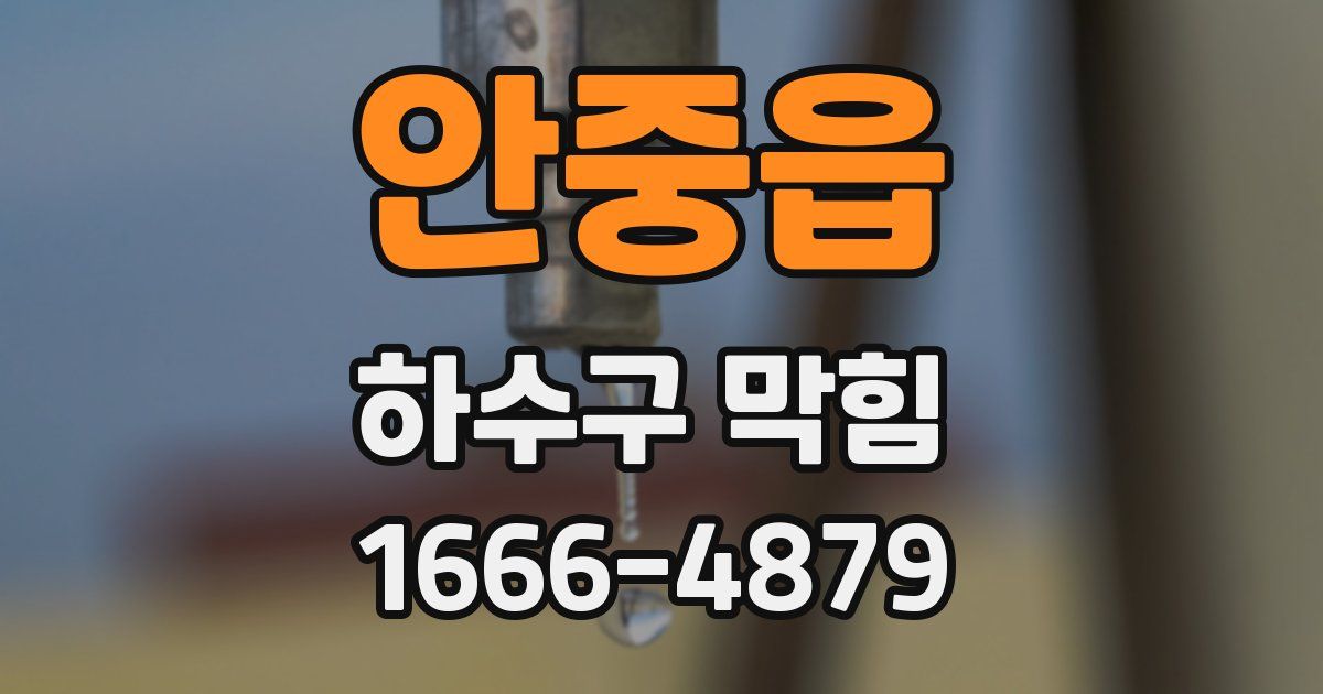 안중읍 하수구 막힘