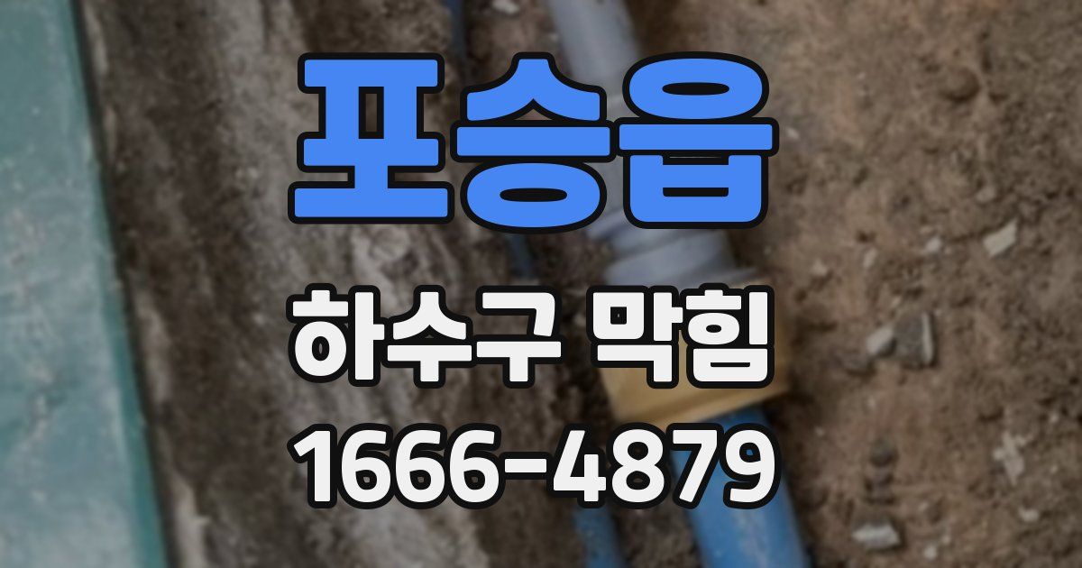 포승읍 하수구 막힘