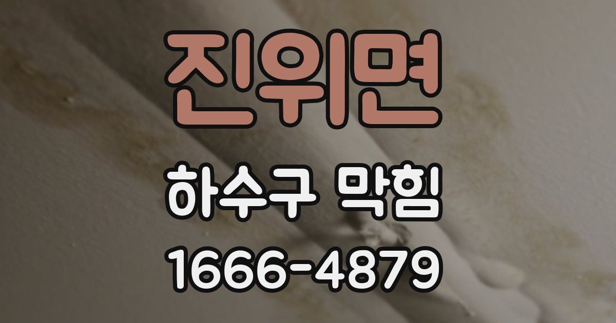 진위면 하수구 막힘