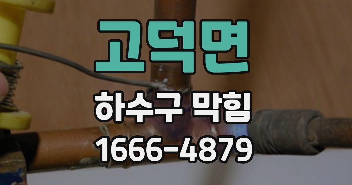 고덕면 하수구 막힘