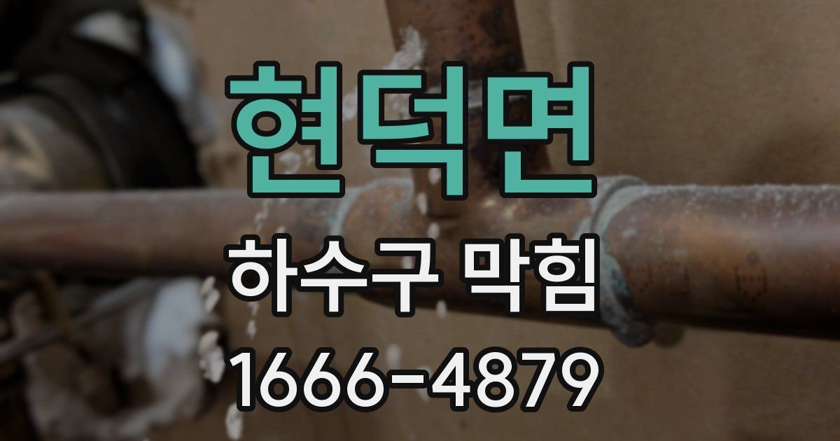 현덕면 하수구 막힘