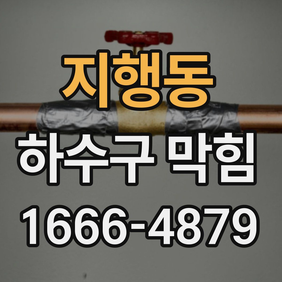 지행동 하수구 막힘