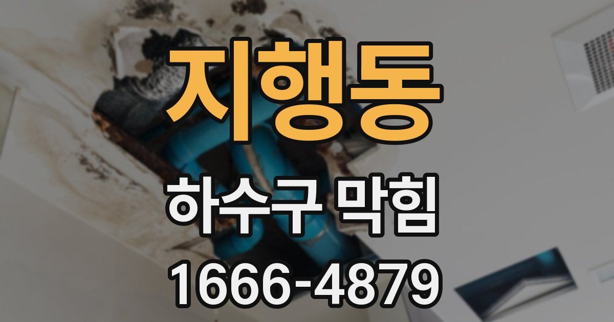 지행동 하수구 막힘