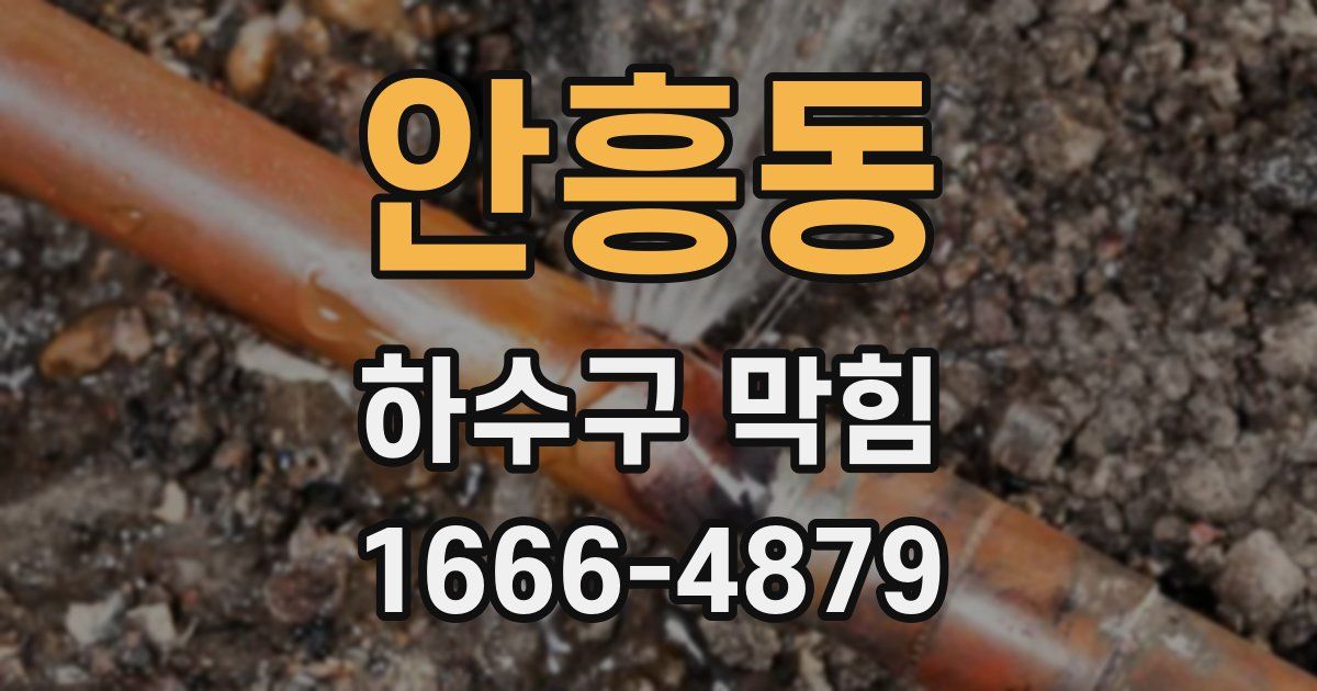 안흥동 하수구 막힘