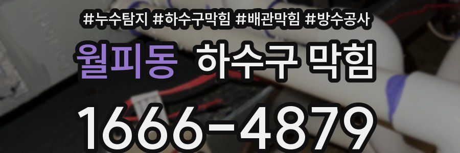 월피동 하수구 막힘