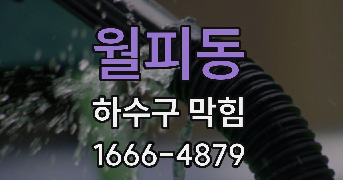 월피동 하수구 막힘