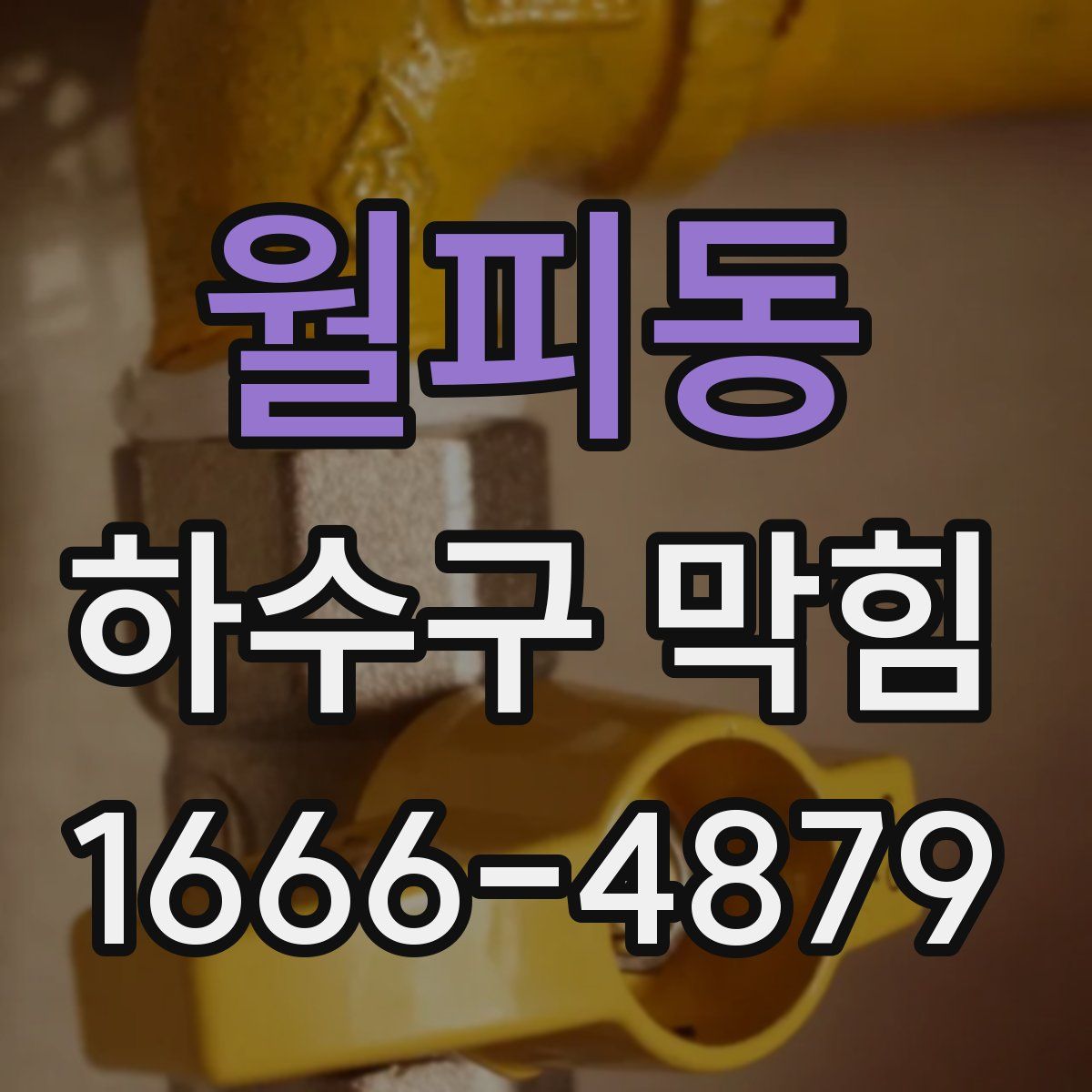 월피동 하수구 막힘