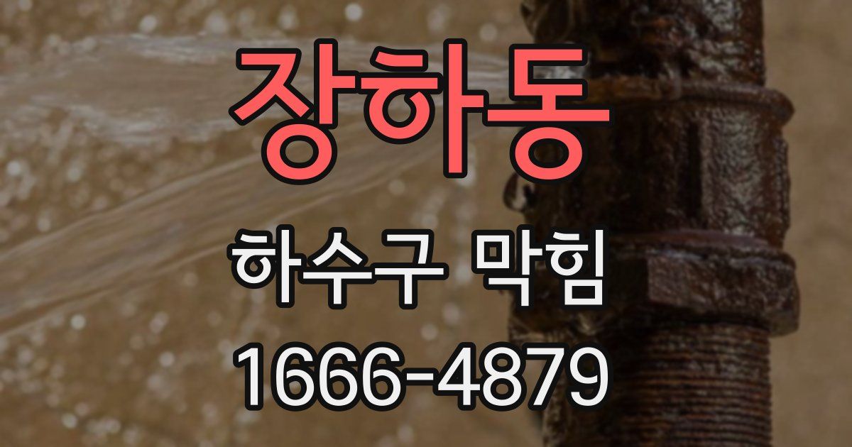 장하동 하수구 막힘