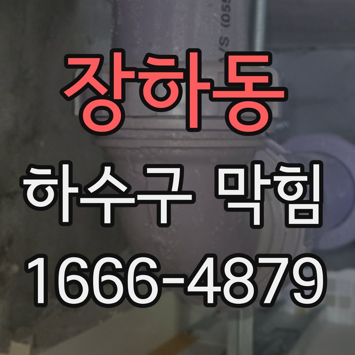 장하동 하수구 막힘