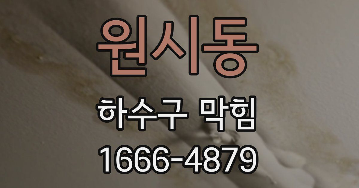 원시동 하수구 막힘