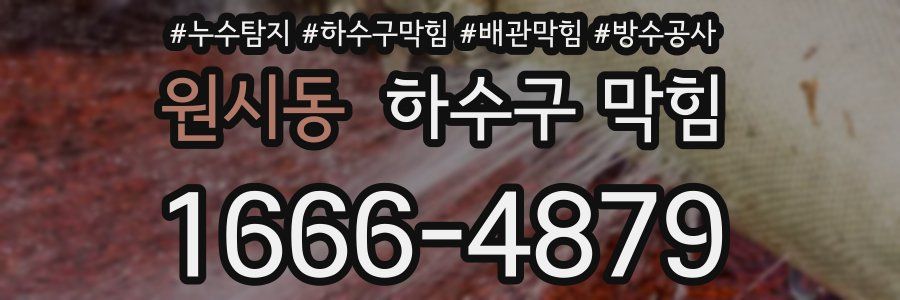 원시동 하수구 막힘
