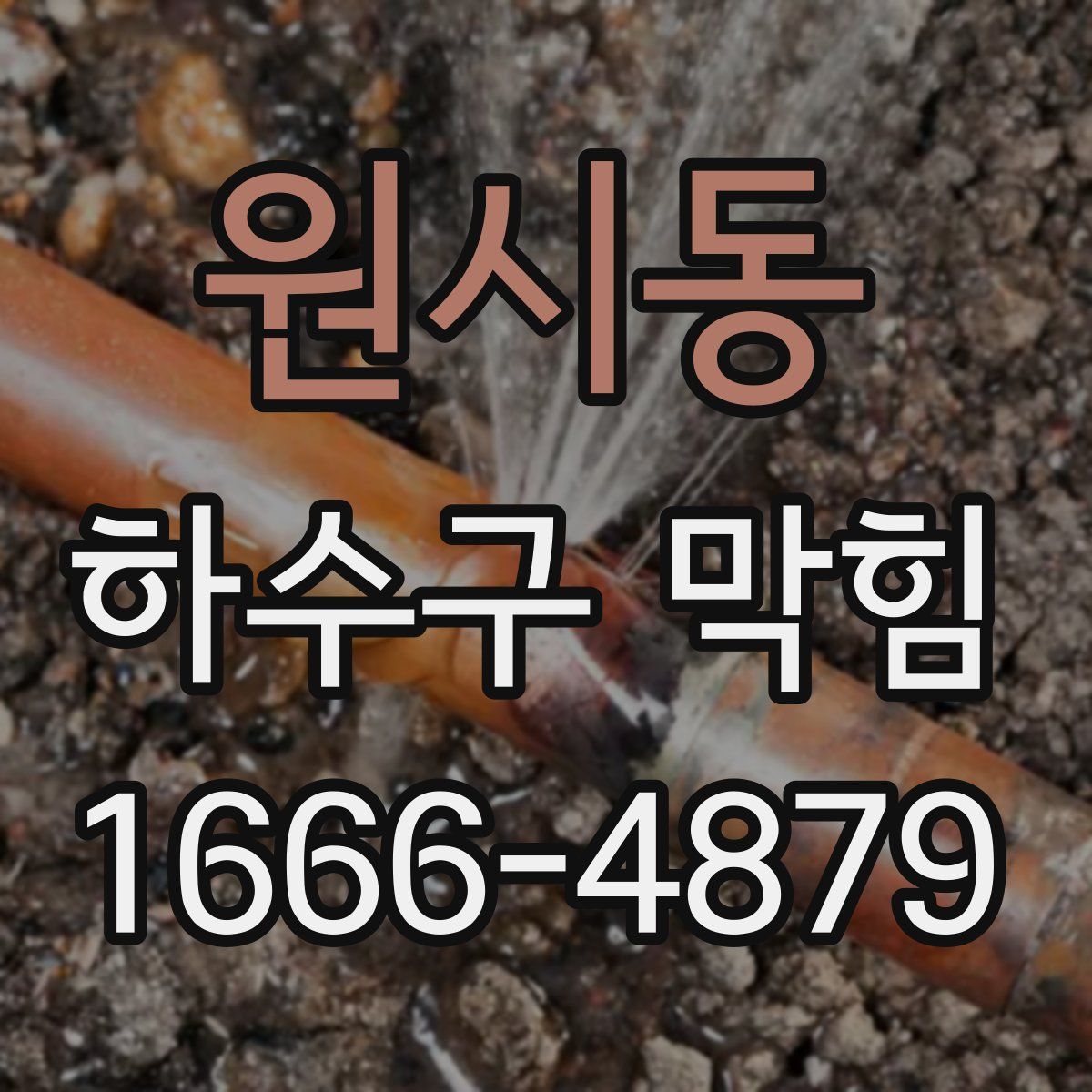 원시동 하수구 막힘