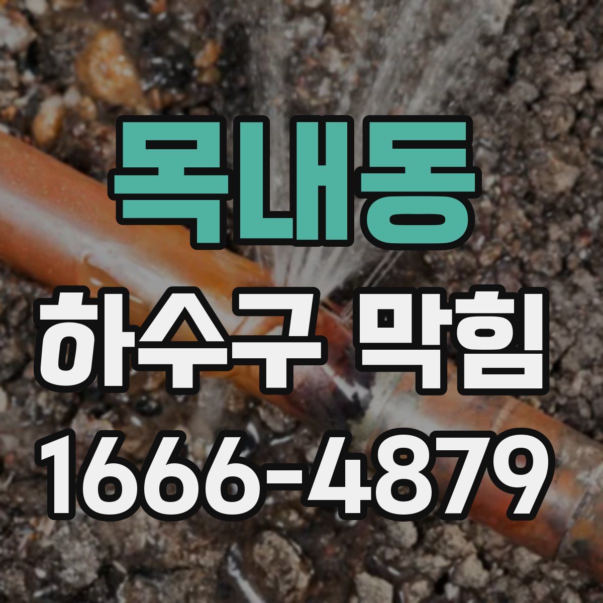 목내동 하수구 막힘