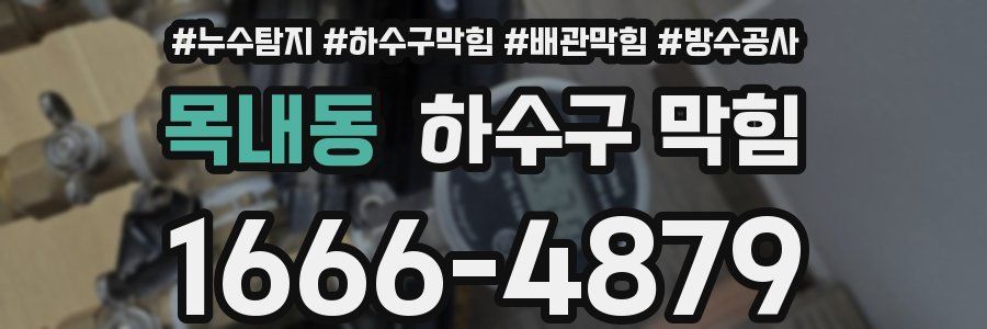목내동 하수구 막힘