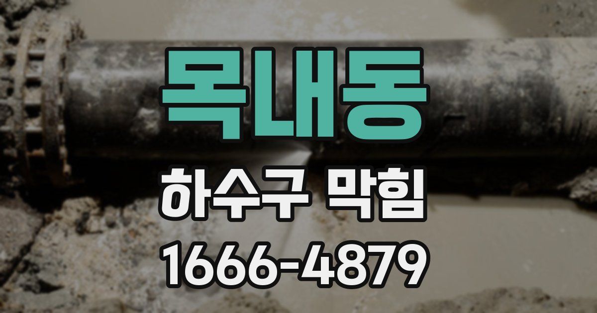목내동 하수구 막힘
