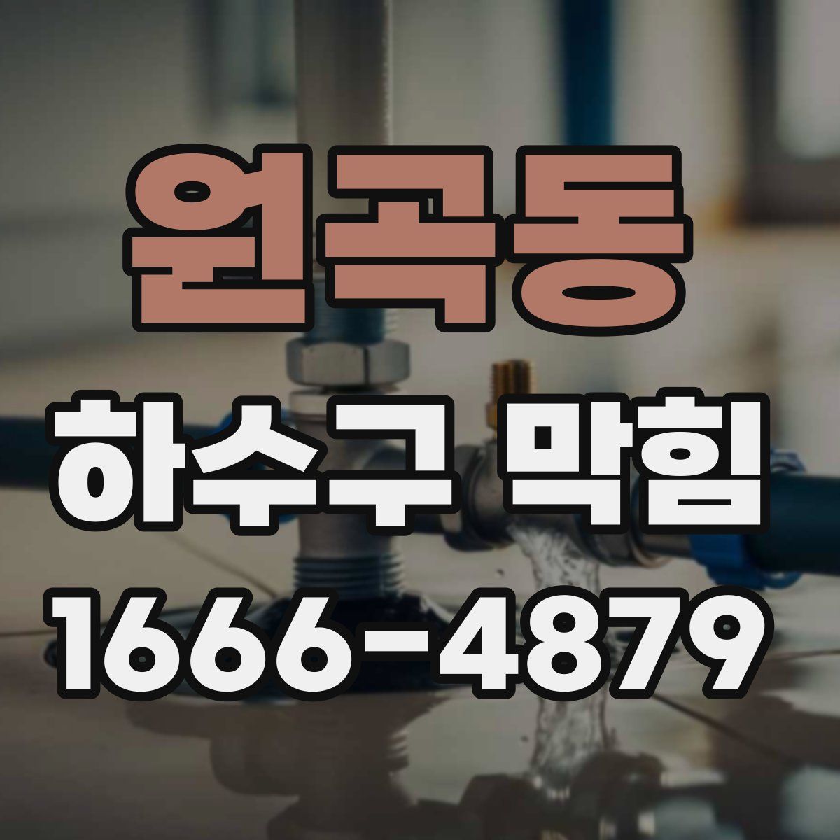 원곡동 하수구 막힘
