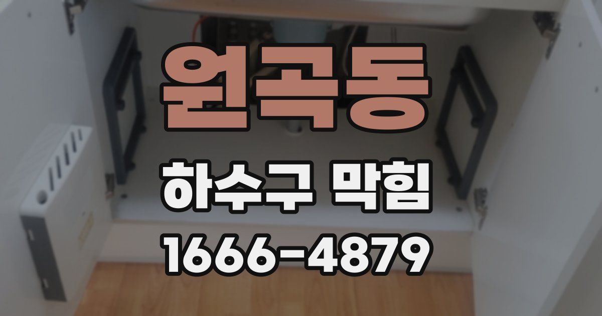 원곡동 하수구 막힘