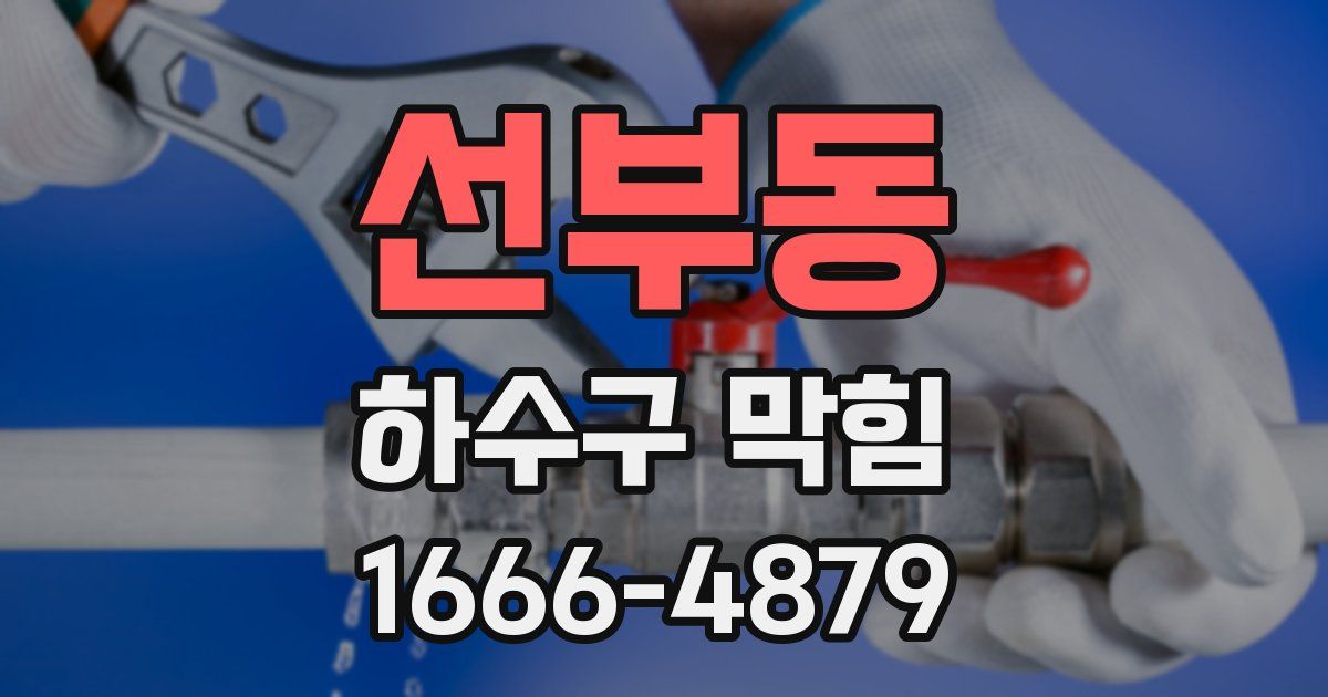 선부동 하수구 막힘