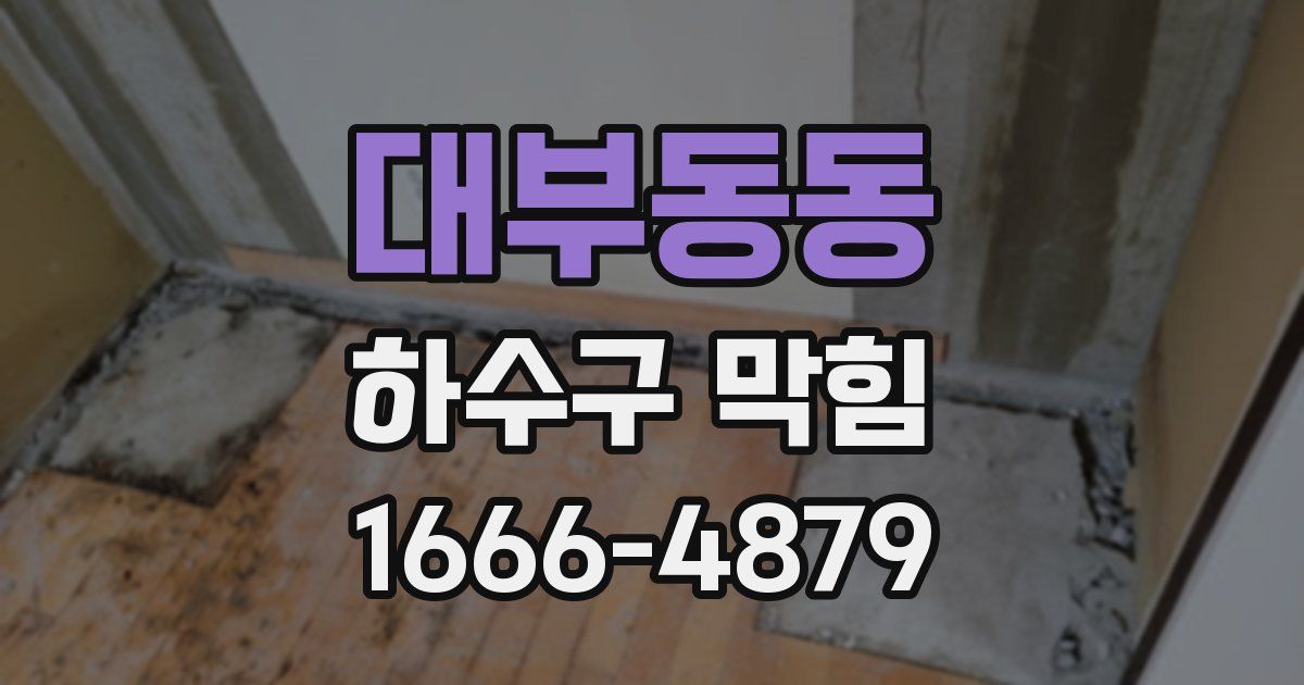 대부동동 하수구 막힘