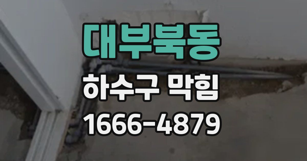 대부북동 하수구 막힘
