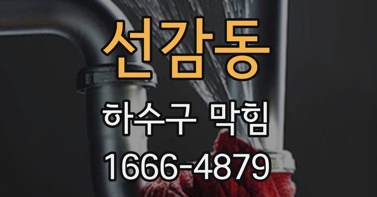 선감동 하수구 막힘